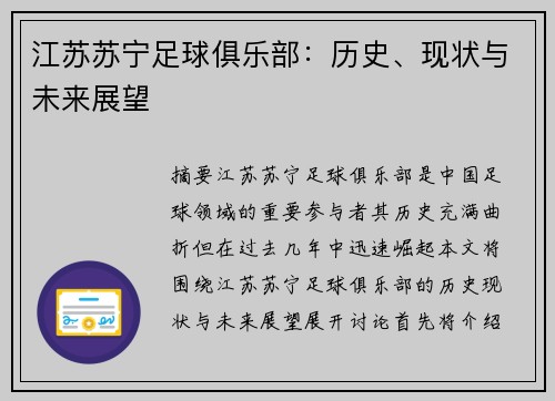 江苏苏宁足球俱乐部：历史、现状与未来展望